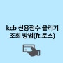 kcb 신용점수 올리기 조회 방법(ft.토스)