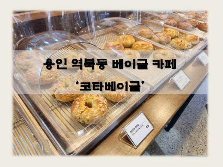 용인 역북동 쫄깃쫄깃한 베이글 카페 '코타베이글'