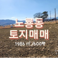 사천부동산 노룡동 토지매매