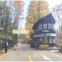 대전 장태산 휴양림- 쉼과 힐링이 있는 그곳 출렁다리,스카이웨이, 메타세콰이어숲,숙박시설