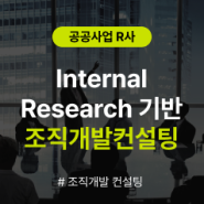 [조직개발 컨설팅] 공공사업 R사 Internal Research