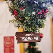 대전 유성온천 크리스마스 축제 다녀왔어요(공연일정, 가수라인업, 크리스마스 마켓)