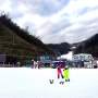 엘리시안강촌 스키장 시즌오픈 유아스키 강습