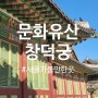서울 단풍구경 창덕궁/티켓구입 팁/주차 꿀팁/ 광장시장 먹방