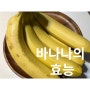 공복 바나나 효능 붓기제거 칼륨 다이어트 포만감