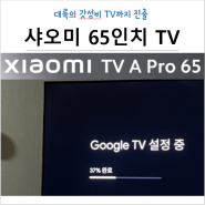 대륙의 근본 샤오미 65인치 4K 스마트 TV 내돈내산 후기