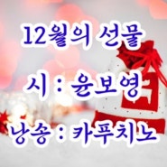 [시낭송 및 시필사]12월의 선물/윤보영:12월이 나처럼행복하게 내가 12월처럼 행복해지게