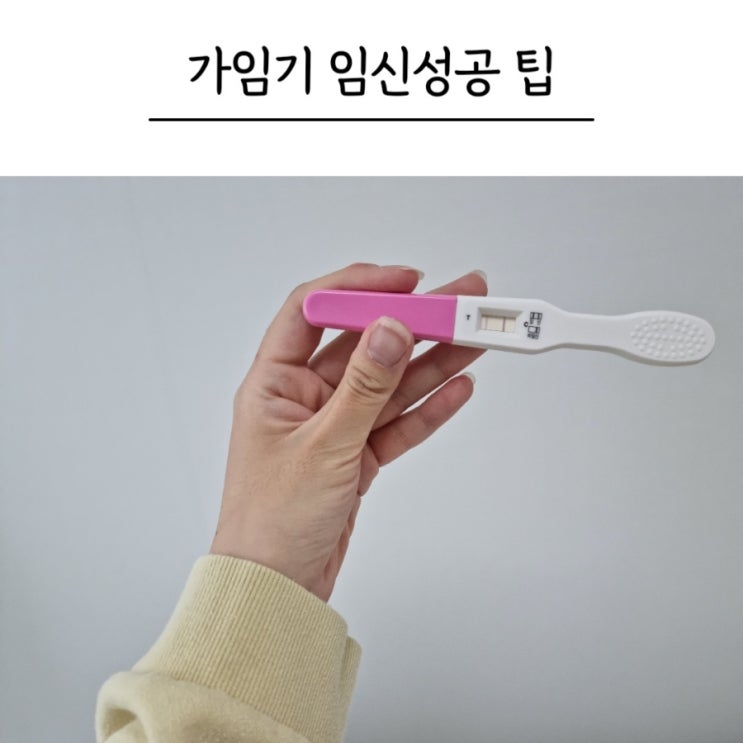 가임기 뜻 가임기때 임신확률 배란일 계산기 비가임기 총정리 네이버 블로그 5981