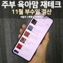 주부 육아맘 재테크 현금 부수입 11월 결산