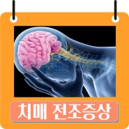 치매 자가 진단 테스트, 치매의 전조증상, 치료방법, 치매 예방 게임 데카르트 앱으로 치매 예방하기