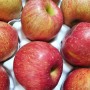 사과값이 금값인 요즘, 맛 좋은 제천사과를 직거래로! 제천 가을농장 사과