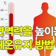 체온조절의 중요성과 면역력을 높여주는 간단한 체온유지 방법