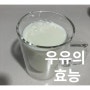 우유 흰우유 밀크 건강음료 단백질 칼슘