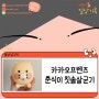 [정보 나누는 새댁] 카카오프렌즈 춘식이 무선 칫솔살균기 추천 / 카카오톡 선물 후기