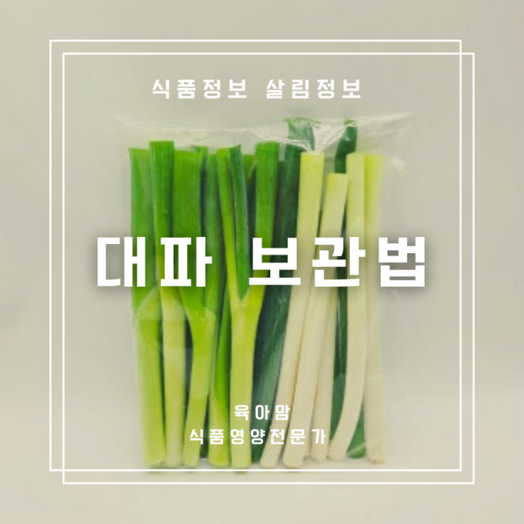 [식품/살림정보] 오래 먹을 수 있는 대파 보관법 : 네이버 블로그