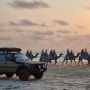 RTUN #10. Broome_Cable Beach, Camel Sunset, Resort stay