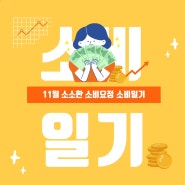소소일기 / 11월 소비정리 소비일기장 내돈내산 후기