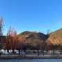 예산 스노우라인 캠핑빌리지 사이트 추천(A27 후기), 겨울 캠핑 요리 모음