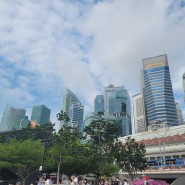 여행부심 via 싱가포르1