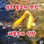 성주 불고기 찐 맛집 새불고기식당