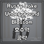 Rusty Lake Underground Blossom (러스티 레이크 언더그라운드 블라썸) 챕터 7 호수역 공략