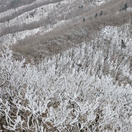 치악산 설산 일출 등반 : ] 그리고 펀치볼