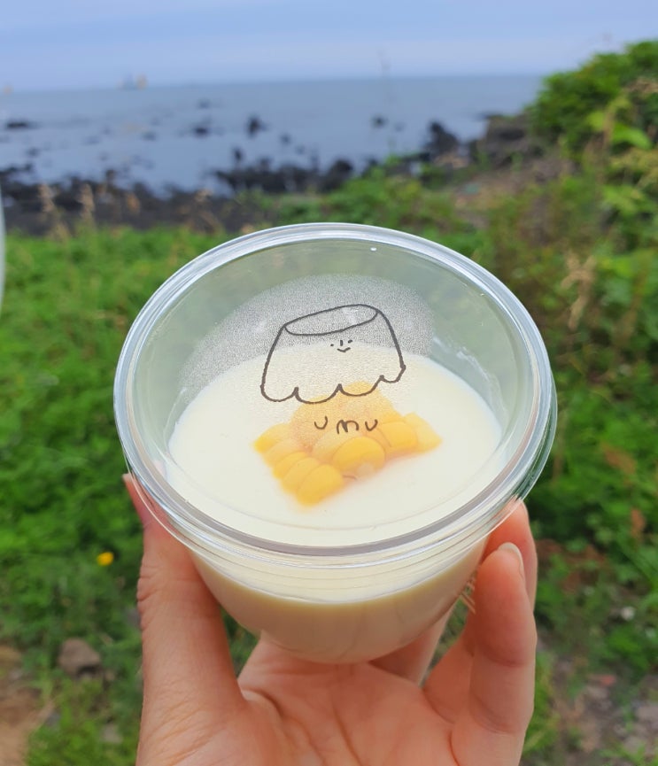 제주도 여행 필수 디저트 우뭇가사리로 만든 푸딩[우무] 5가지 모두 맛본 후기 : 네이버 블로그