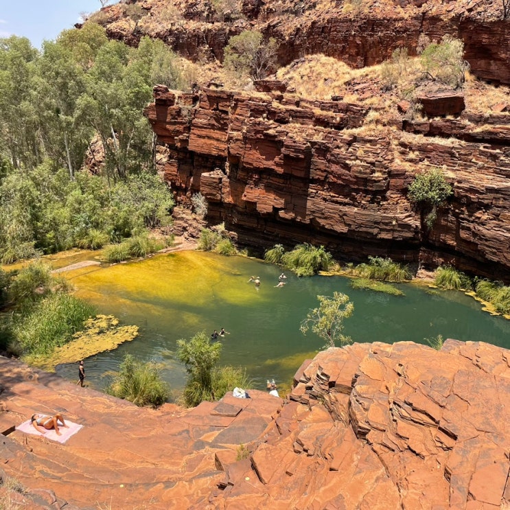 RTUN #7. Karijini NP_Dales Gorge, Fern Pool, Fortescue Falls : 네이버 블로그