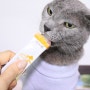 고양이 종합영양제 프로젝트21 하루채움