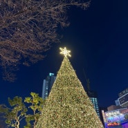 2023 유성 크리스마스 축제 후기 및 궁동 봉명동 일대 조명 전시