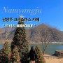 [남양주] 북한강 뷰 대형 크리스마스 트리 카페 '브리끄' - 서울 근교 트리 사냥