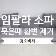 인천 소파 청소 서구 임팔라 쇼파 묵은때 황변 클리닝