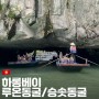 하노이 하롱베이 크루즈 당일투어 루온동굴 승솟동굴 후기 날씨