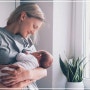모유수유 좋은음식 엄마와 아기를 위한 건강한 영양 선택