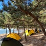 [캠핑] 1박 2일 인천 섬 대이작도 작은풀안해수욕장 야영장 겨울 백패킹