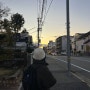 [일본여행] 고베가면 꼭 들러봐야 할, 고베 슈신칸(神戸酒心館) 방문기(feat 고베양조장)