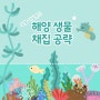 Coral Island 코랄 아일랜드 다이빙지역 해양생물 채집 공략