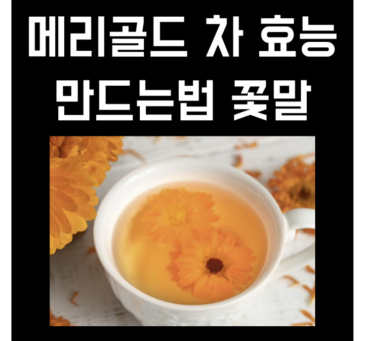 메리골드 차 효능 꽃차 만드는법 꽃말 : 네이버 블로그