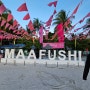 몰디브 마푸시 로컬섬 둘러보기/마푸시 교도소, 학교, 시내 1시간이면 왕복 끝