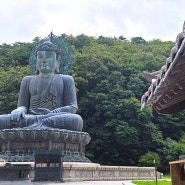 설악산 신흥사 입장료 무료 대형불상 가족 소원 기와쓰기 여행