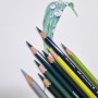 강아지풀 초록잎 그림 그리기 보태니컬아트