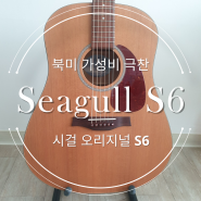 seagull S6 original (시걸 기타 S6 오리지널) 8년간 사용기/솔직 후기
