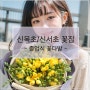신목초 꽃집 / 신서초 꽃집- 프리지아 졸업식 꽃다발 (프리지아꽃말)
