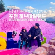서울근교 아이와 함께 가볼만한곳 : 포천 허브아일랜드 핑크모래썰매