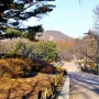 인천대공원 겨울 즐기는 법 겨울에도 좋은 인천수목원