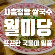 시흥 정왕 쌀국수 맛집, 월미당 :: 뜨끈~하고 진~한 국물이 있는 쌀국수 맛집