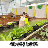 서울 강동구 농장체험 스페이스팜(서울 겨울 실내 아이와 가볼만한곳)
