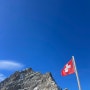 [스위스2일차]우당탕탕 융프라우호 올라가기