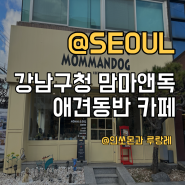 강남구청역 애견동반카페 [맘마앤독] 친환경 애견푸드 판매하는곳