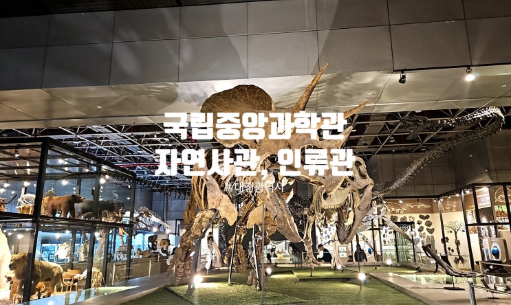 대전여행# 국립중앙과학관 자연사관 인류관 방문기